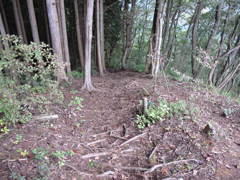 20161014hike (209)